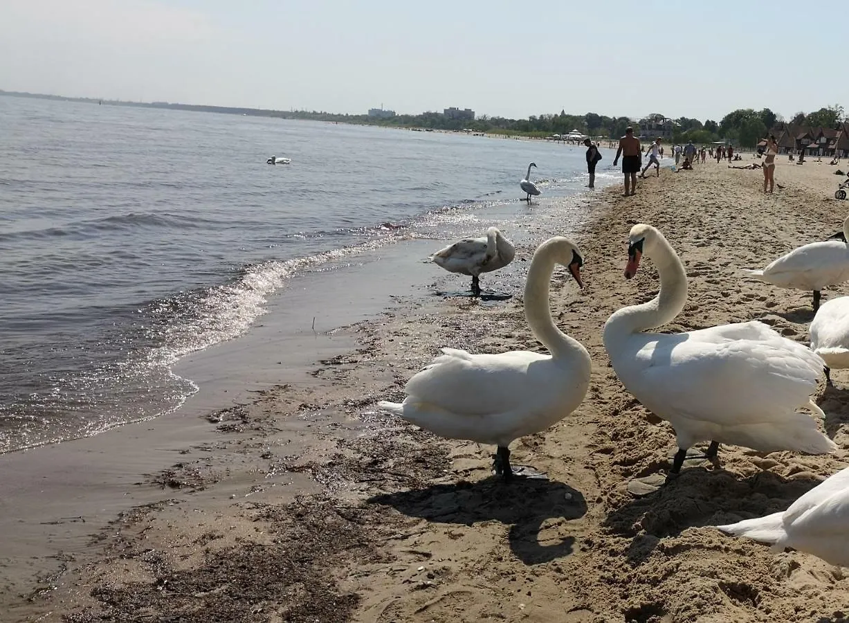 Apartamenty Gdansk Eu - Apartament 75 M2 #Ilovesopot 0*, Sopot Poland
